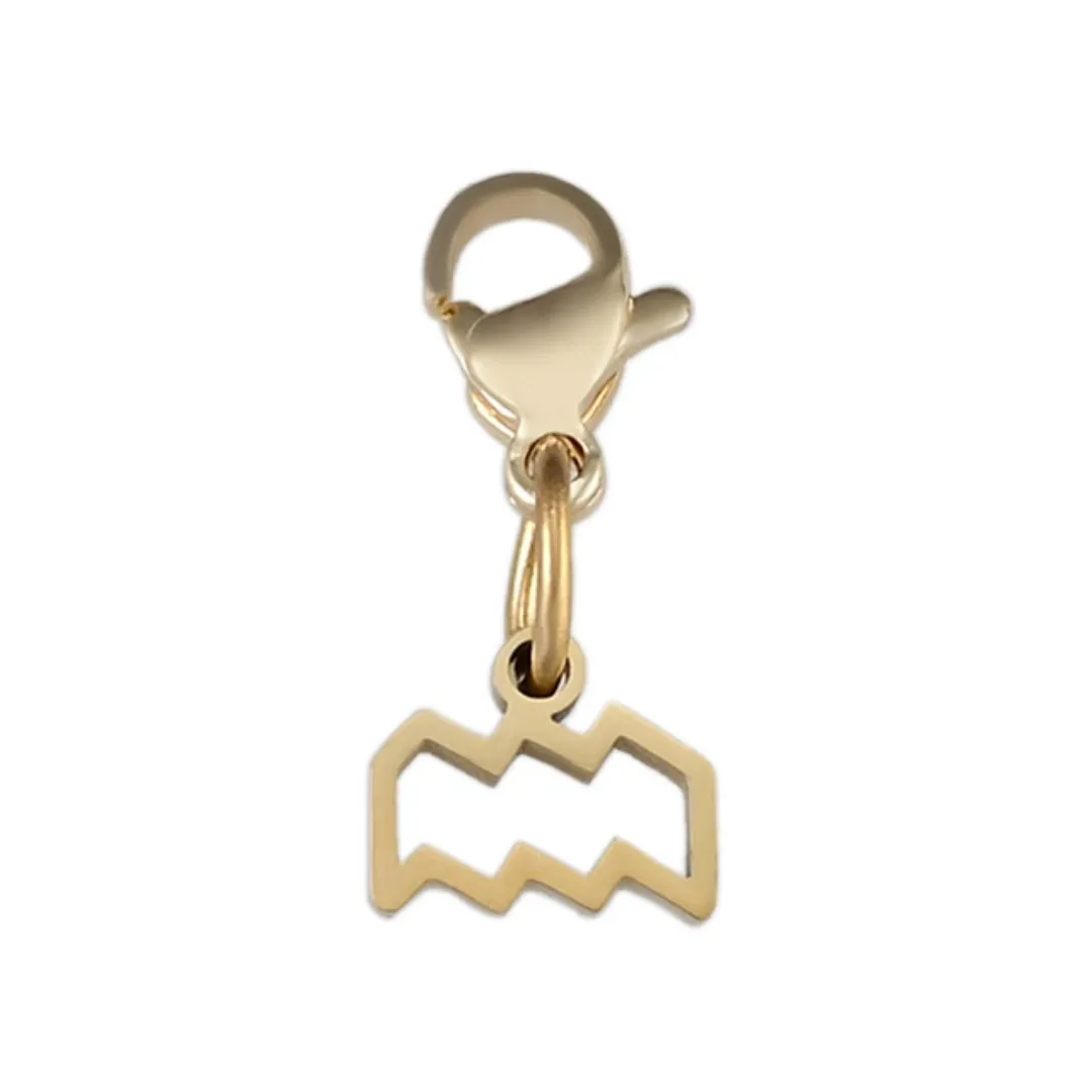 Aquarius Charm