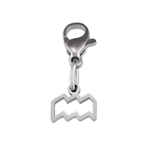 Aquarius Charm