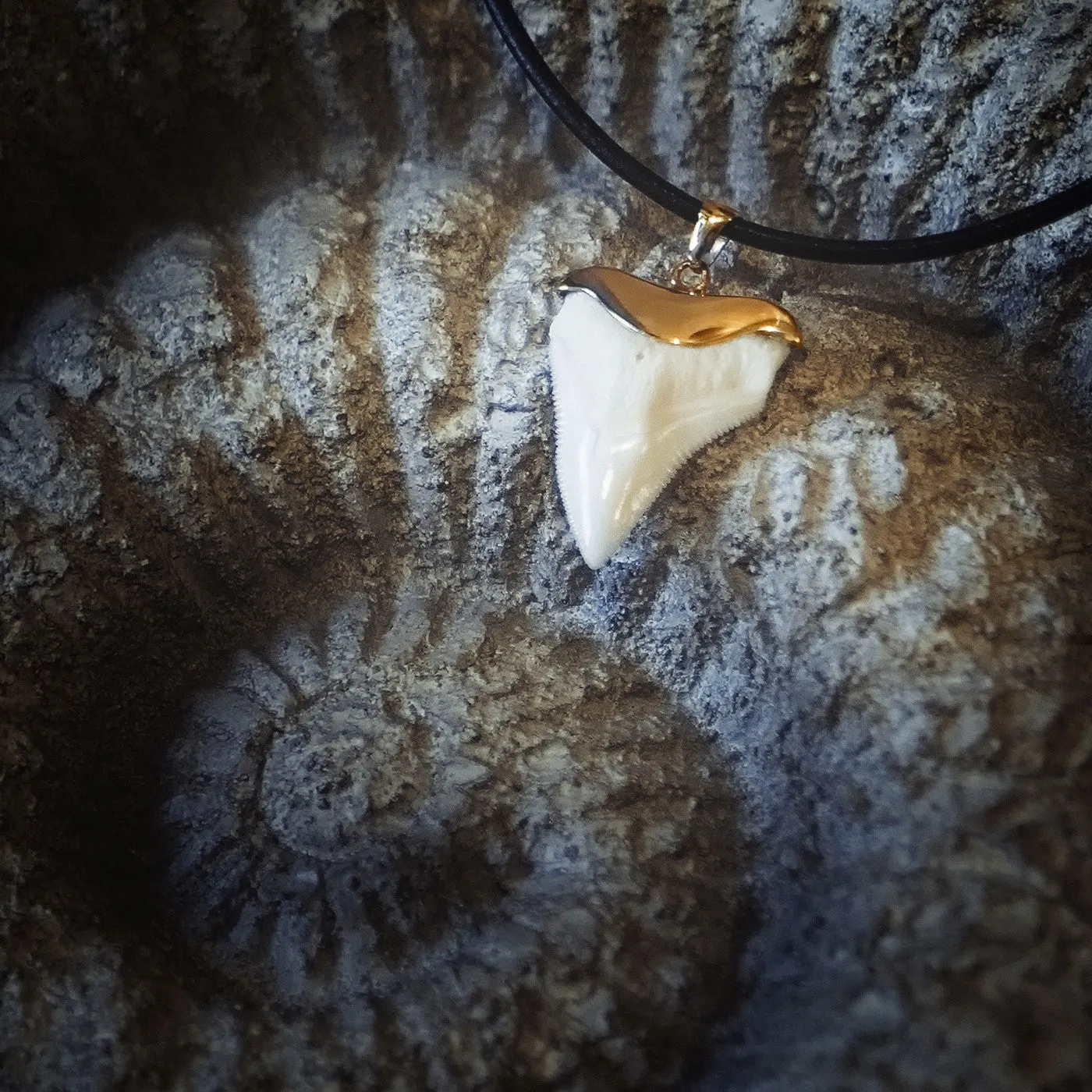 Bull Shark Tooth Necklace Gold