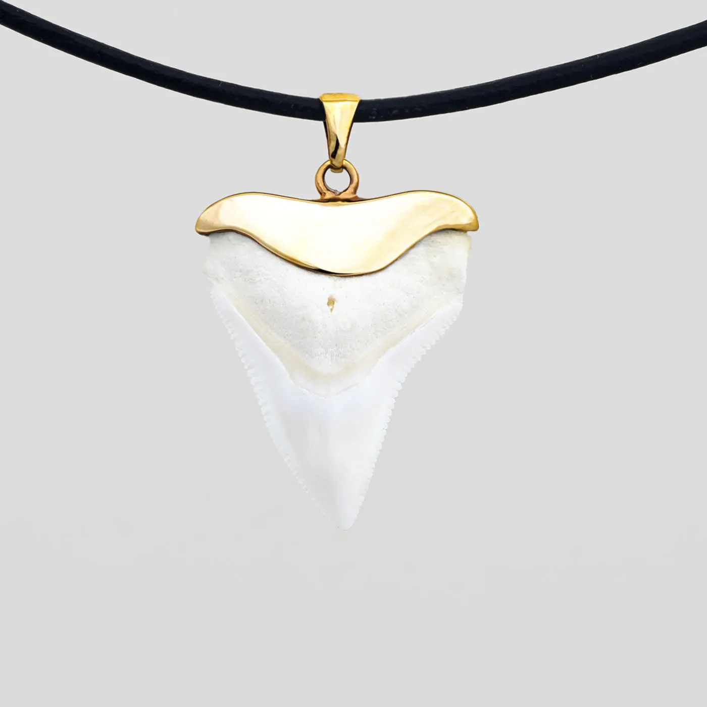 Bull Shark Tooth Necklace Gold