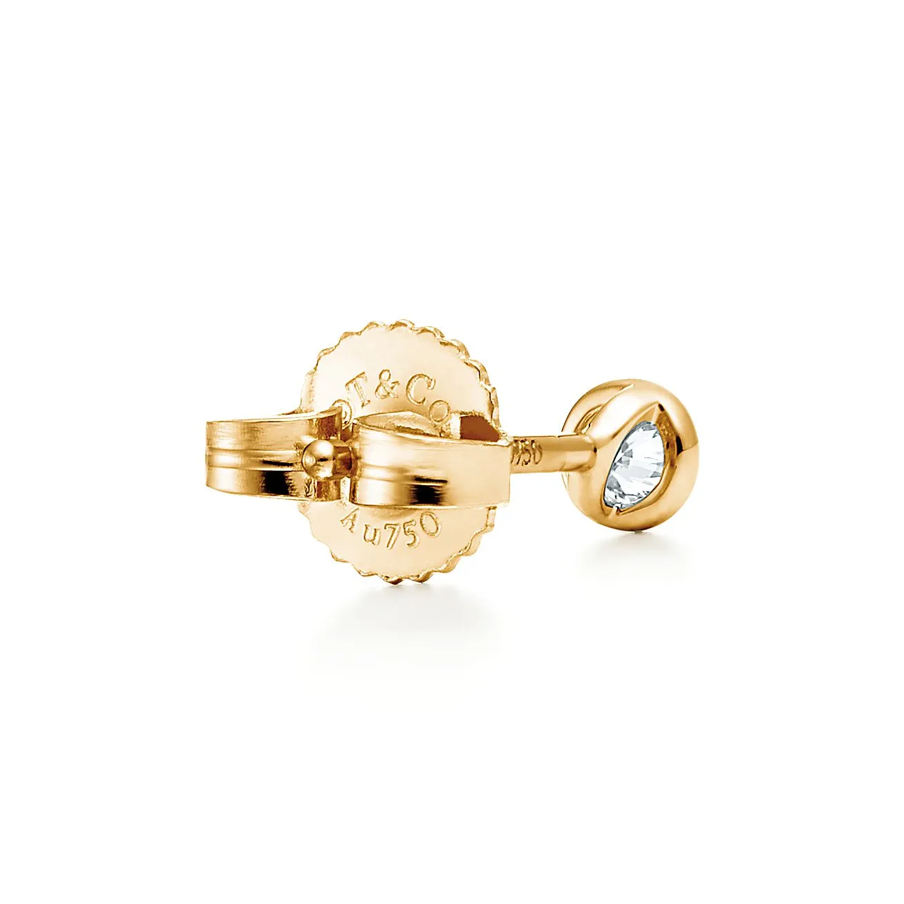 Diamonds by the Yard® Earrings