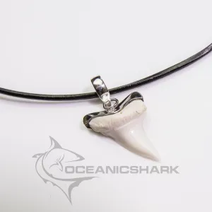 Mako shark teeth surfing diving fishing s29
