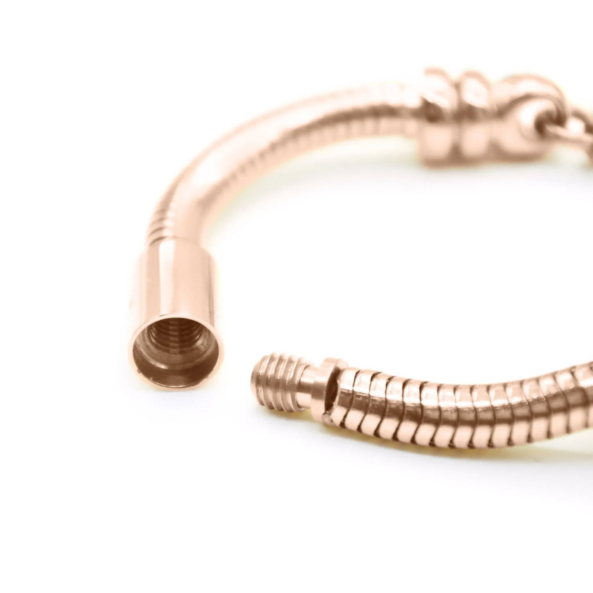 New Moments Bracelet with Extension