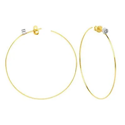 OPEN HOOP EARRINGS