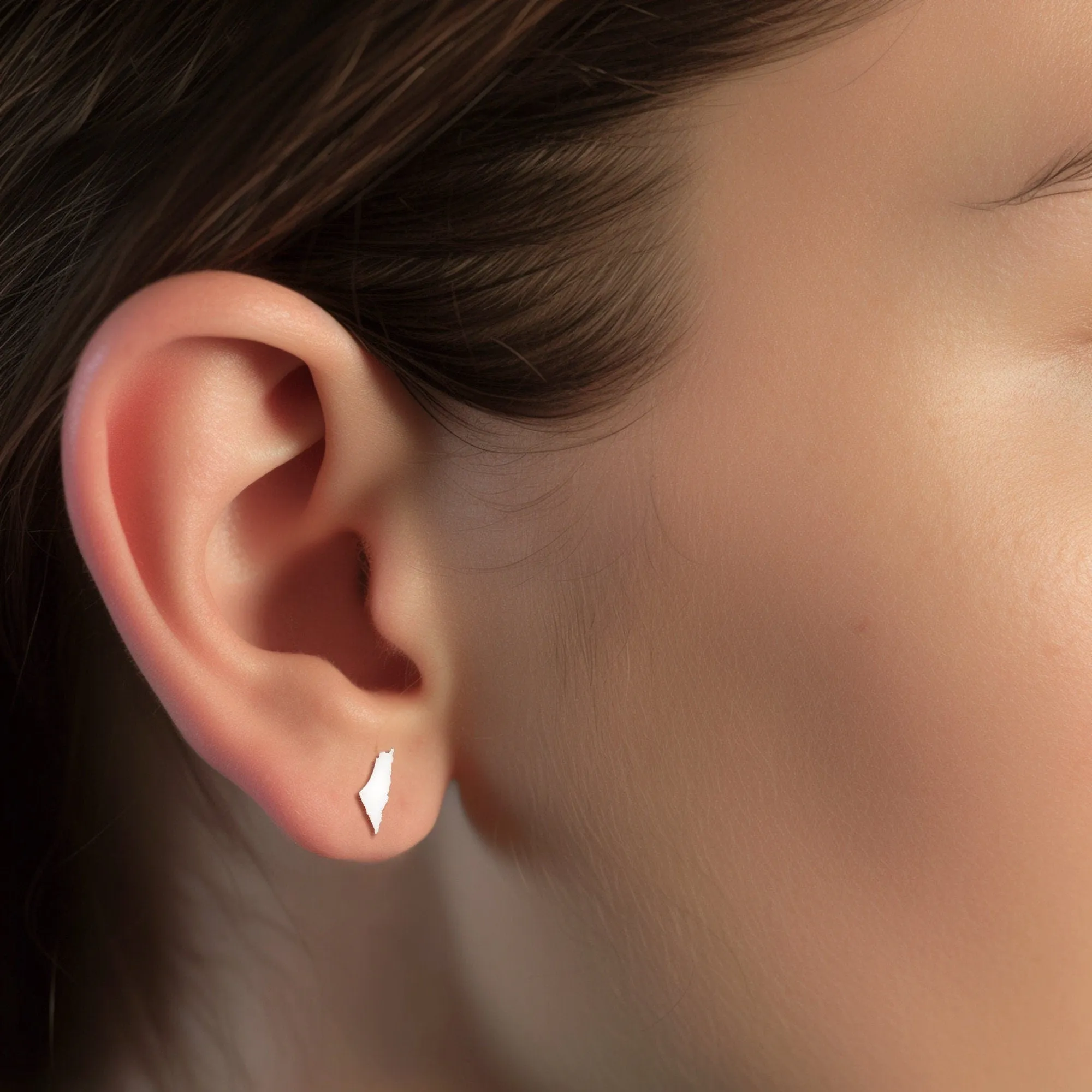 Palestine Map Earrings