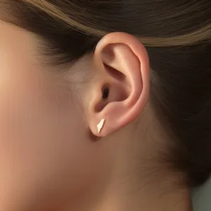 Palestine Map Earrings