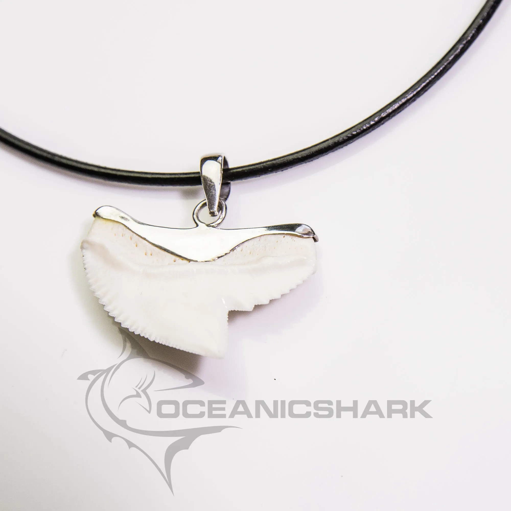 SALE Extra Large Tiger Shark Tooth Pendant s21