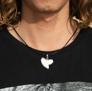 SALE Extra Large Tiger Shark Tooth Pendant s21