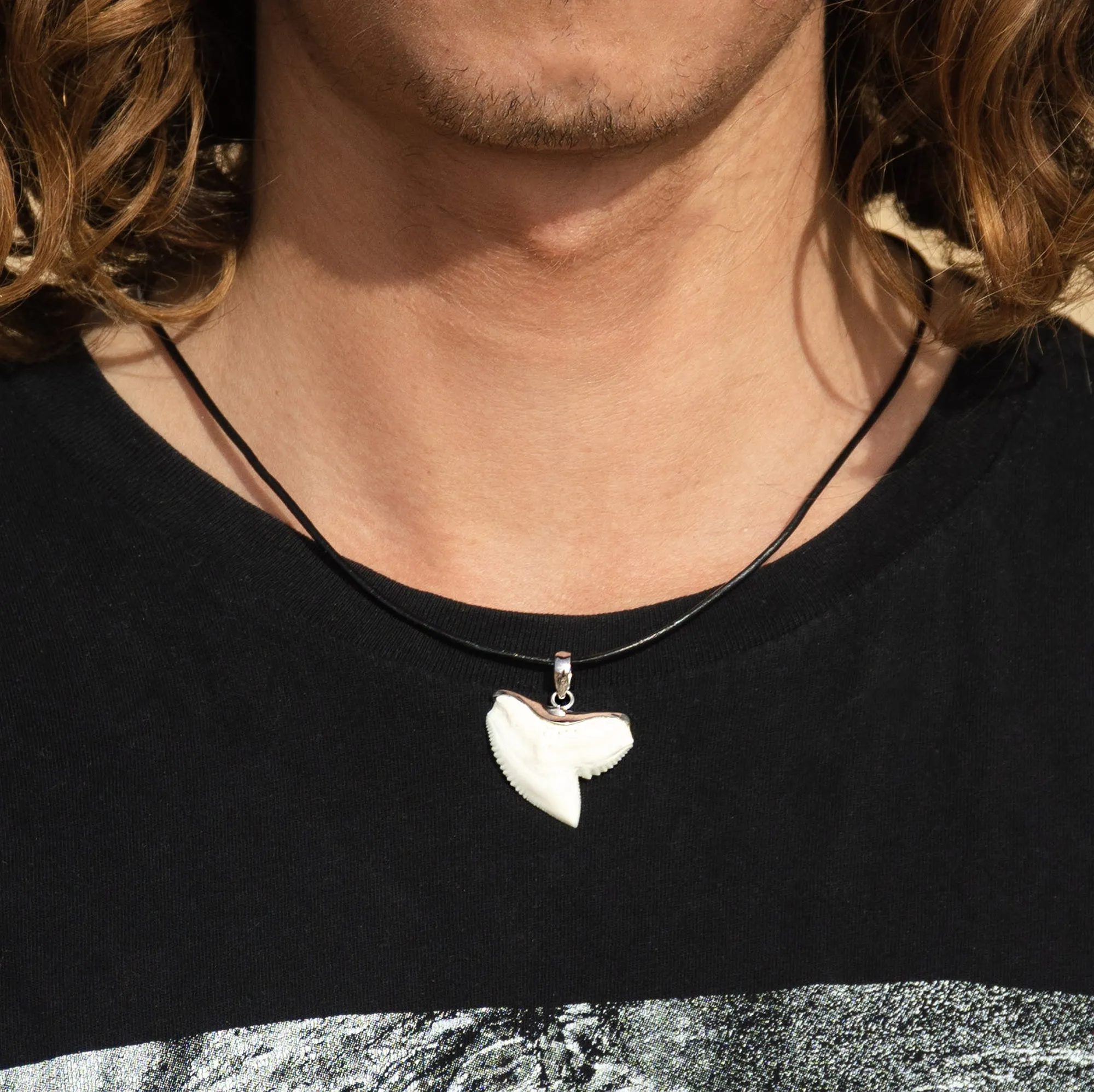 SALE Extra Large Tiger Shark Tooth Pendant s21