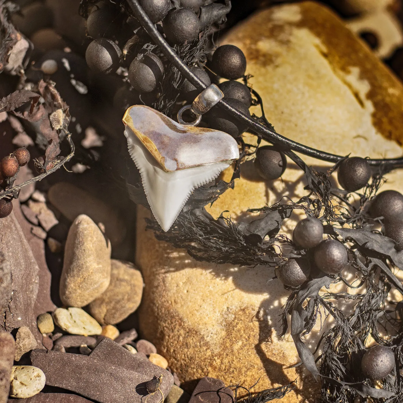 Shark Tooth Necklace Silver s45