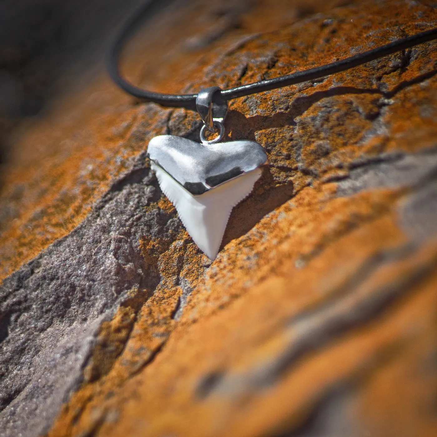 Shark Tooth Necklace Silver s45