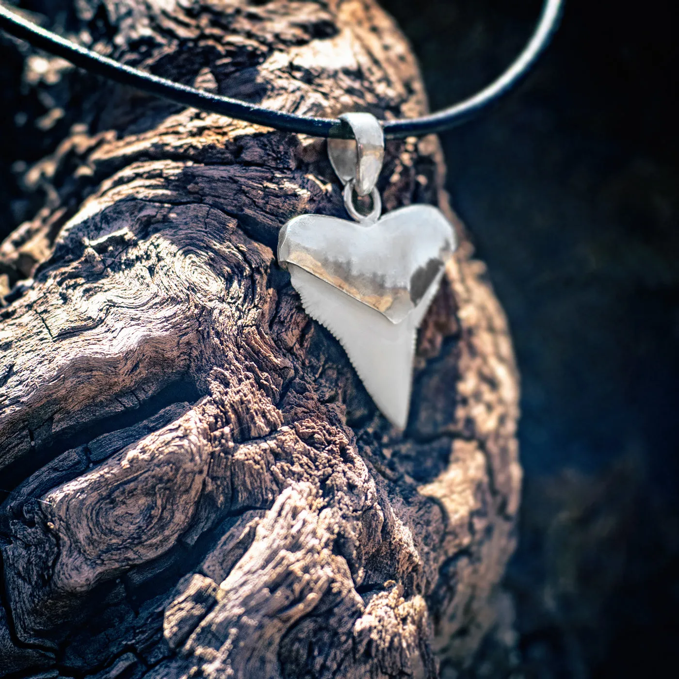 Shark Tooth Necklace Silver s45