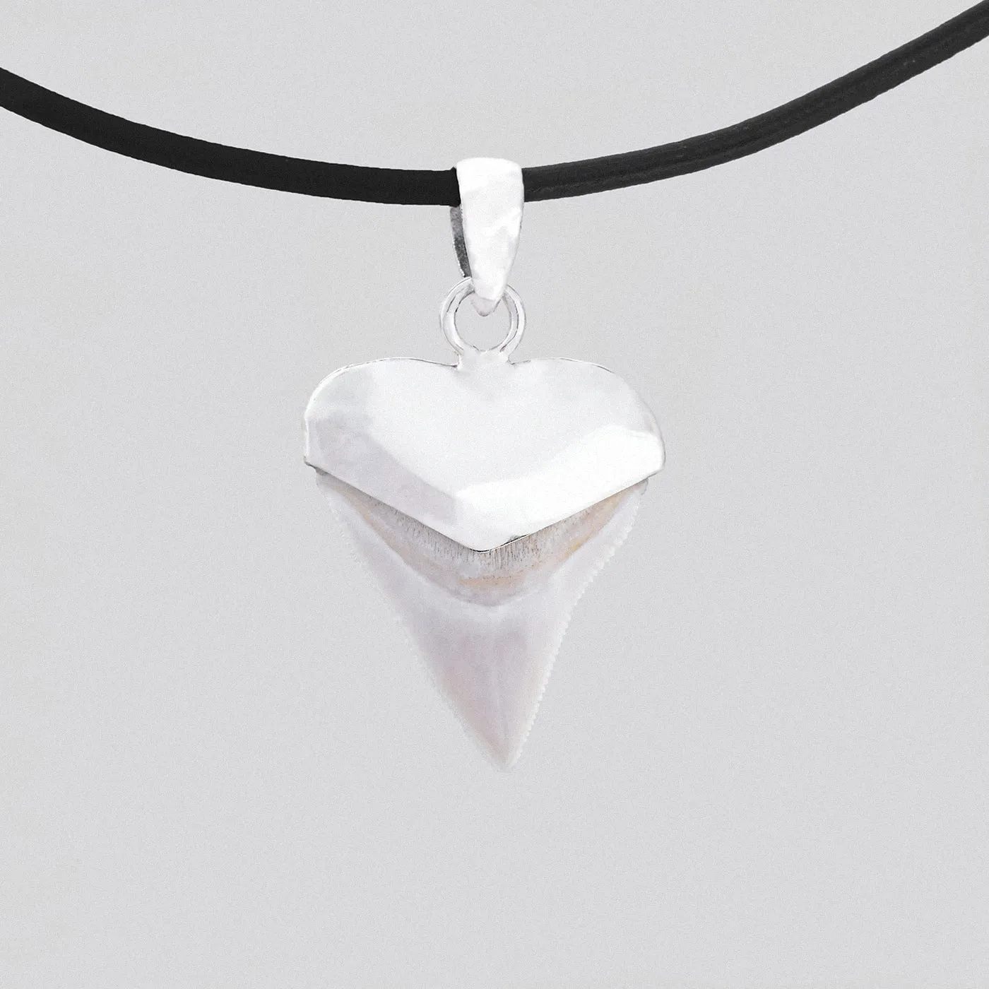 Shark Tooth Necklace Silver s45