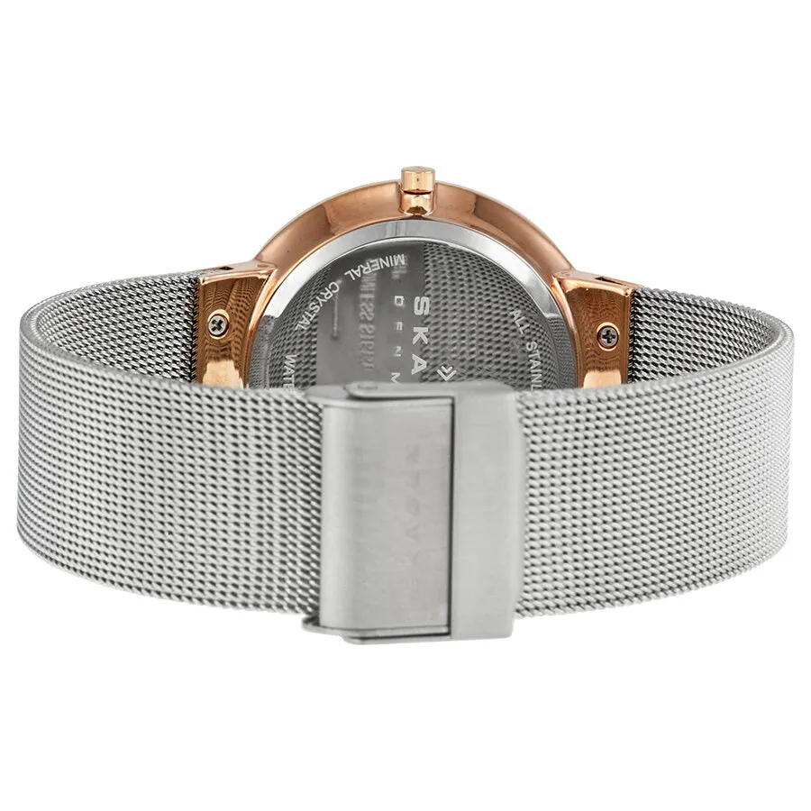 Skagen Leonora Silver Dial Stainless Steel Mesh Ladies Watch 456LRS