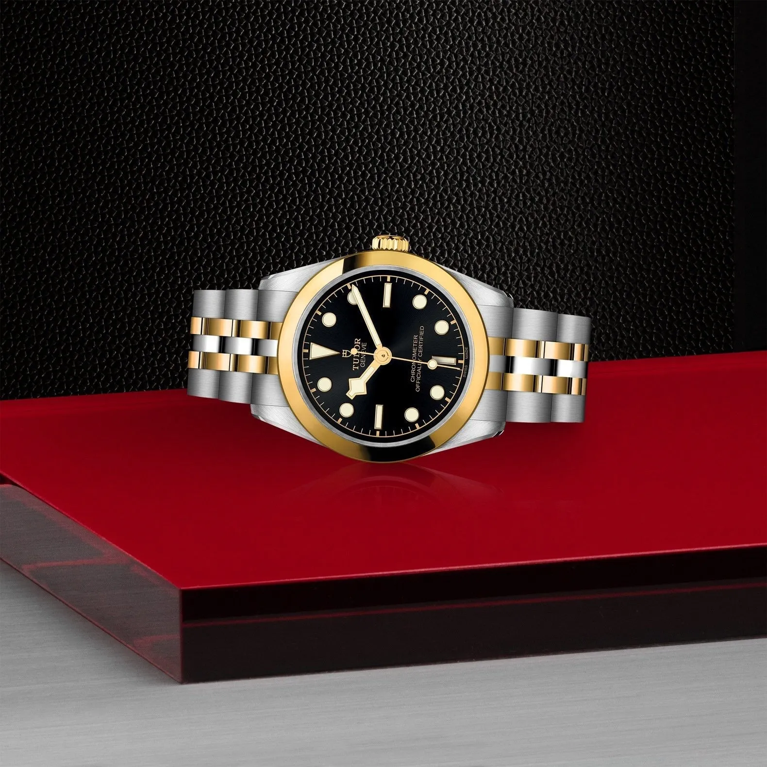 Tudor Black Bay 31 S&G