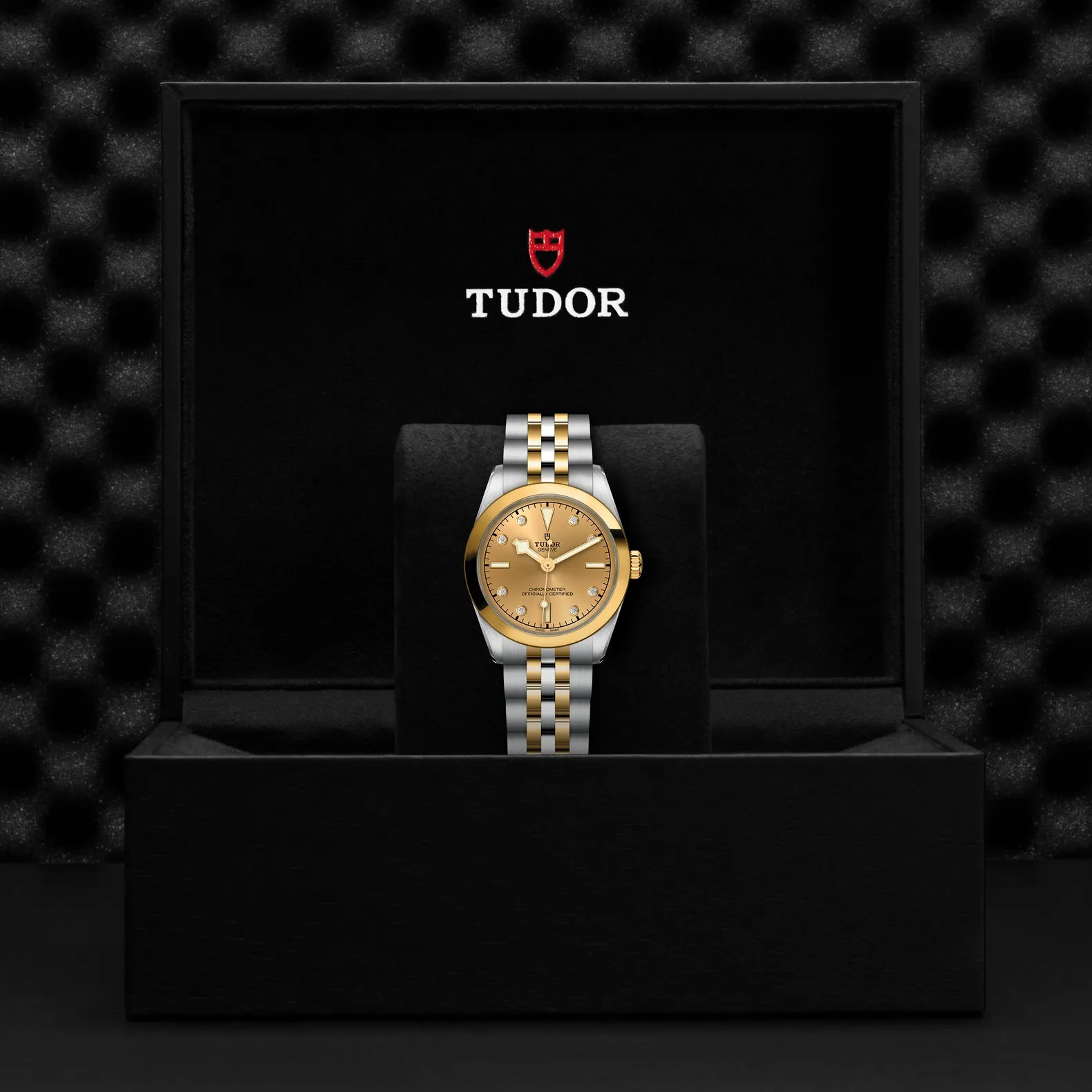 Tudor Black Bay 31 S&G